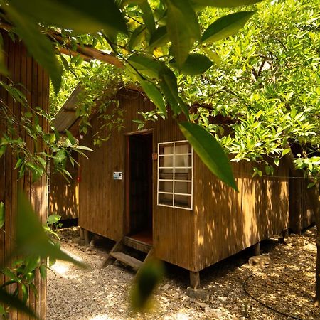 Olympos Yakamoz Pansiyon Exterior foto