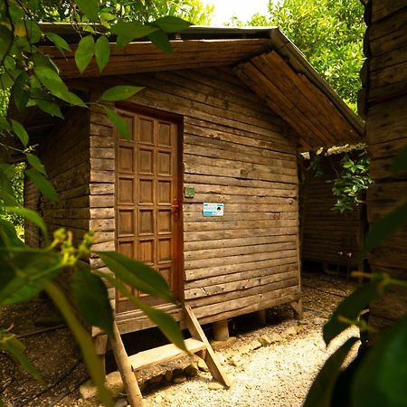Olympos Yakamoz Pansiyon Exterior foto