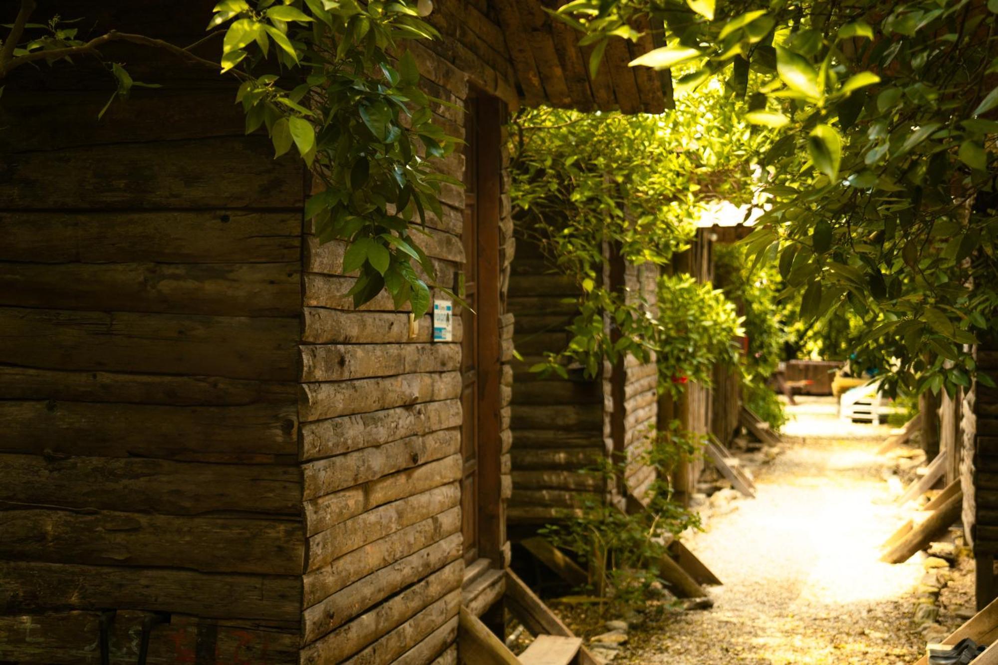 Olympos Yakamoz Pansiyon Exterior foto