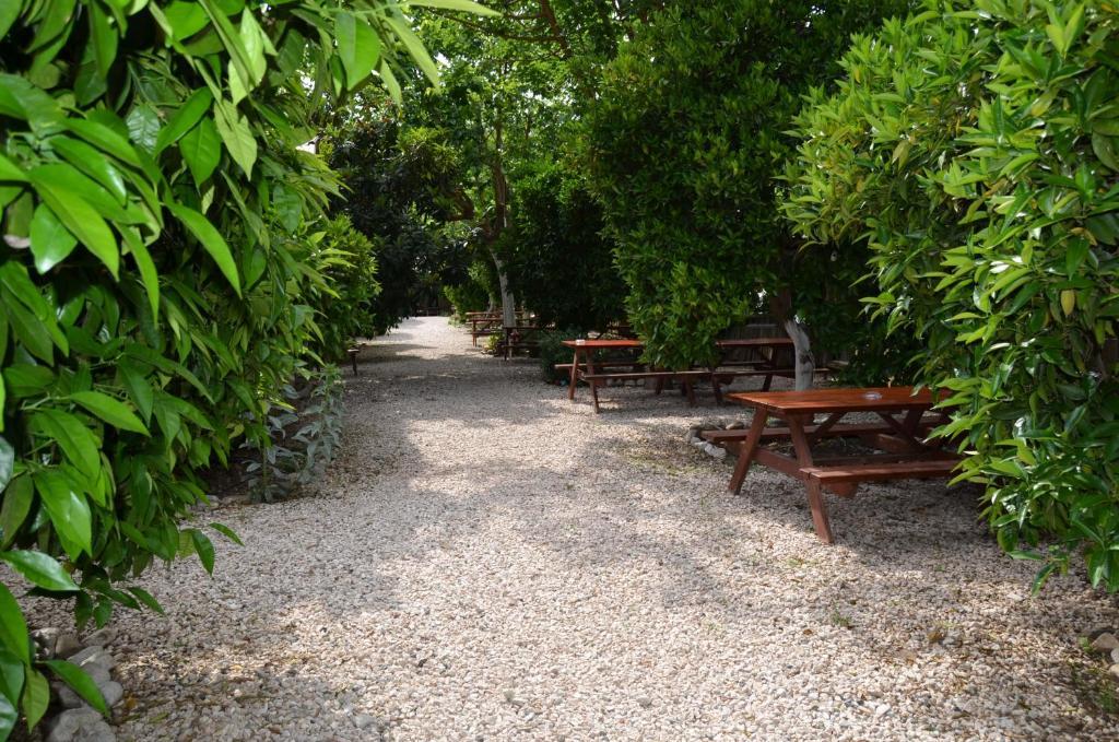 Olympos Yakamoz Pansiyon Exterior foto