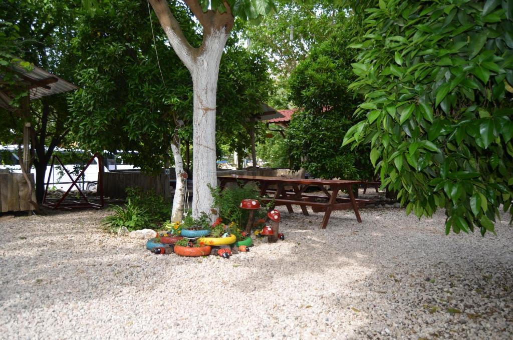 Olympos Yakamoz Pansiyon Exterior foto